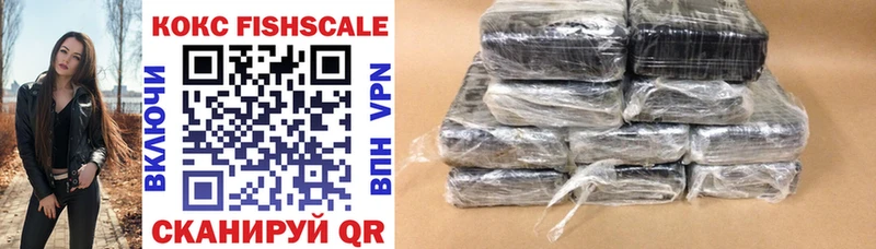 Cocaine FishScale  закладка  Правдинск 